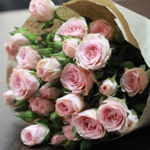 Meet your Posher, Alma